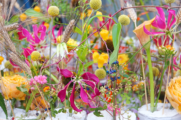 Ausstellung Blumenhalle: Ein Meer aus Farben