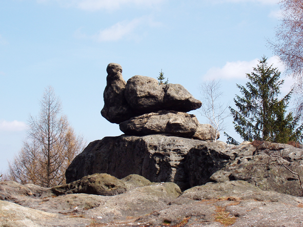 die brütende Henne