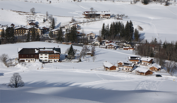 Der Embachhof im Winter 2010