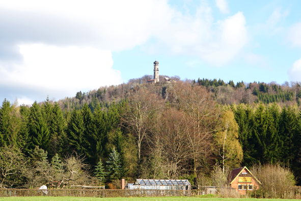 der Hochwald: nah dran
