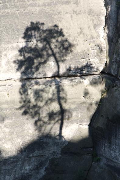 Schattenspiele