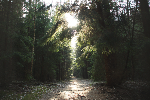 Wanderweg