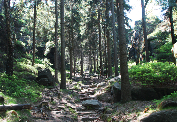 Wanderweg