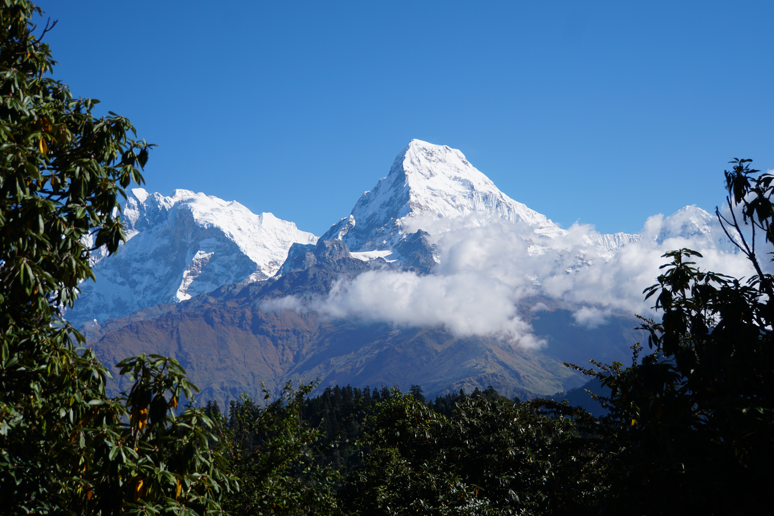 beim Wandern ein Blick auf diverse Annapurna-Gipfel