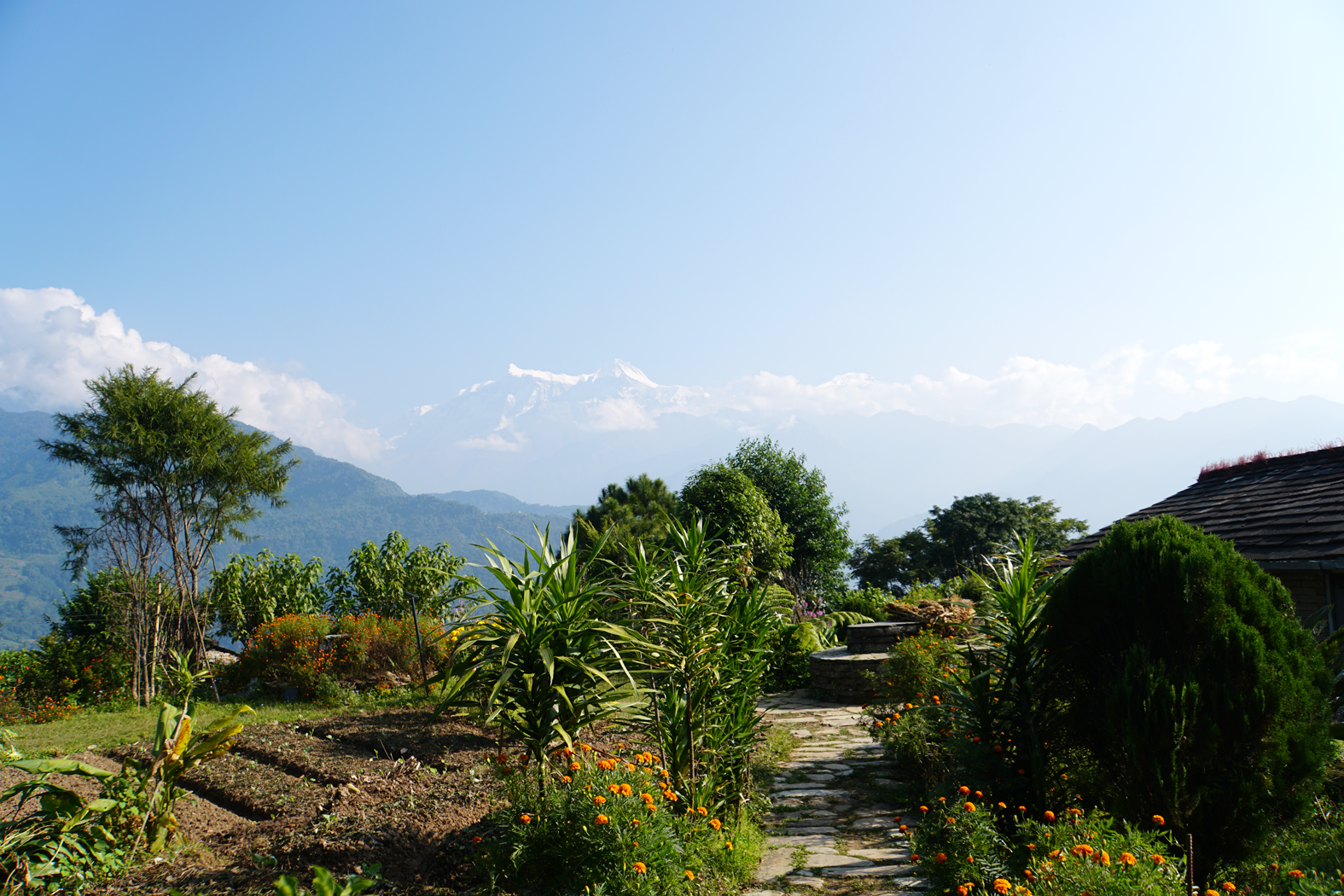 der Garten des ECO-Hotels in Astam