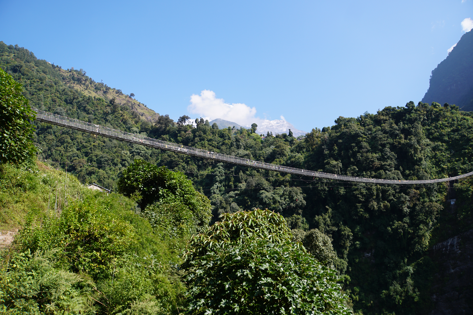 die Hängebrücke bei Jhinu