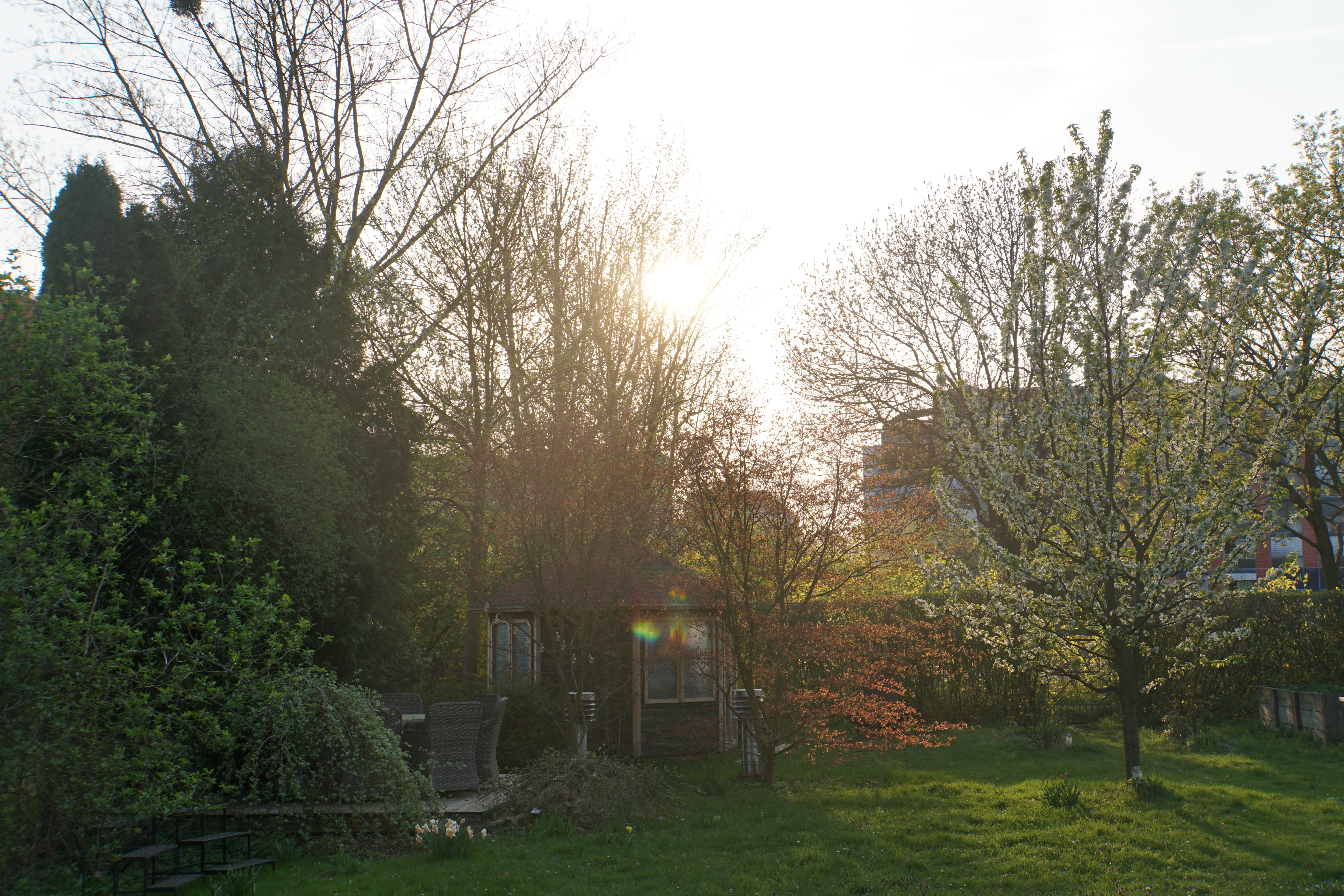 Garten im Abendlicht
