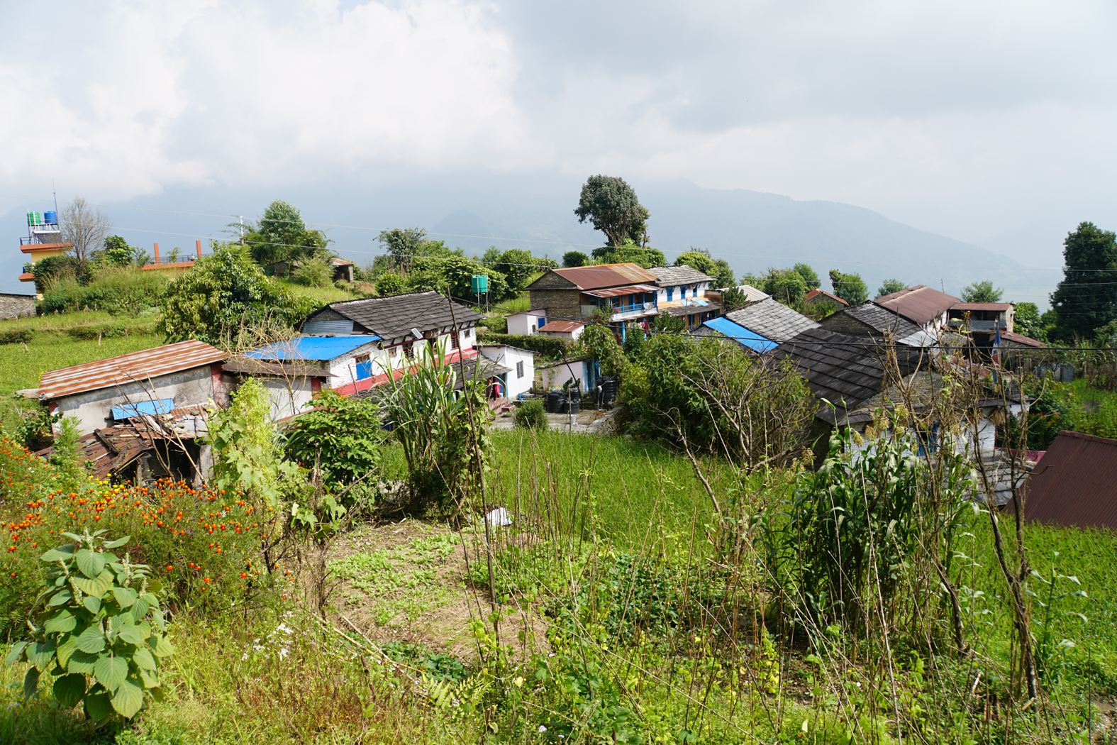 Wandern durch Nepal