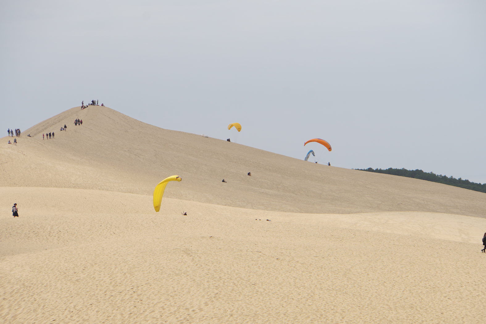 die Düne von Pilat