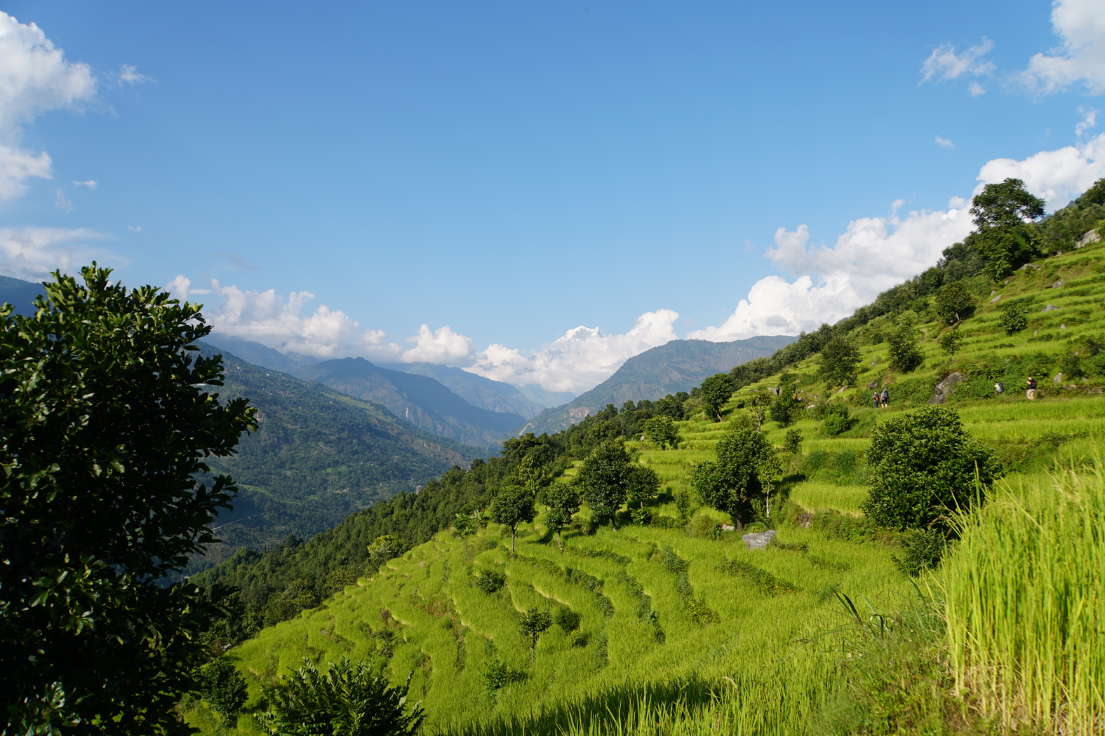 Wandern durch Nepal