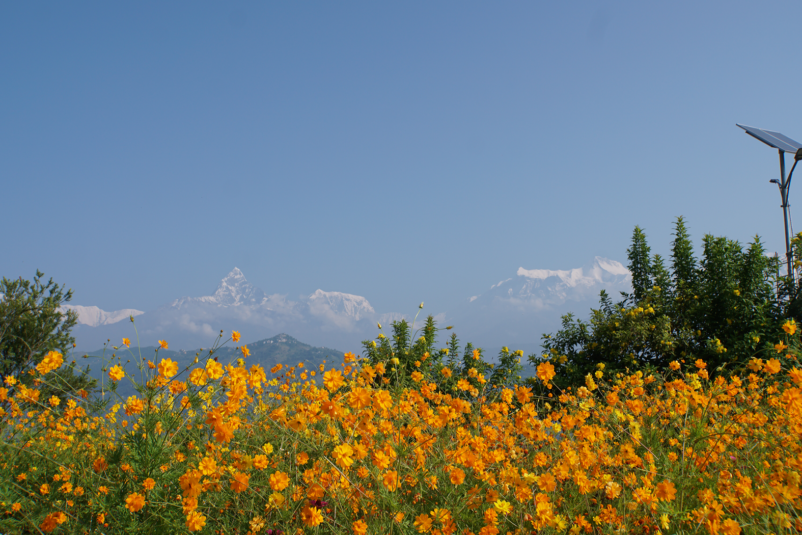 bei der Friedensstupa bei Pokhara