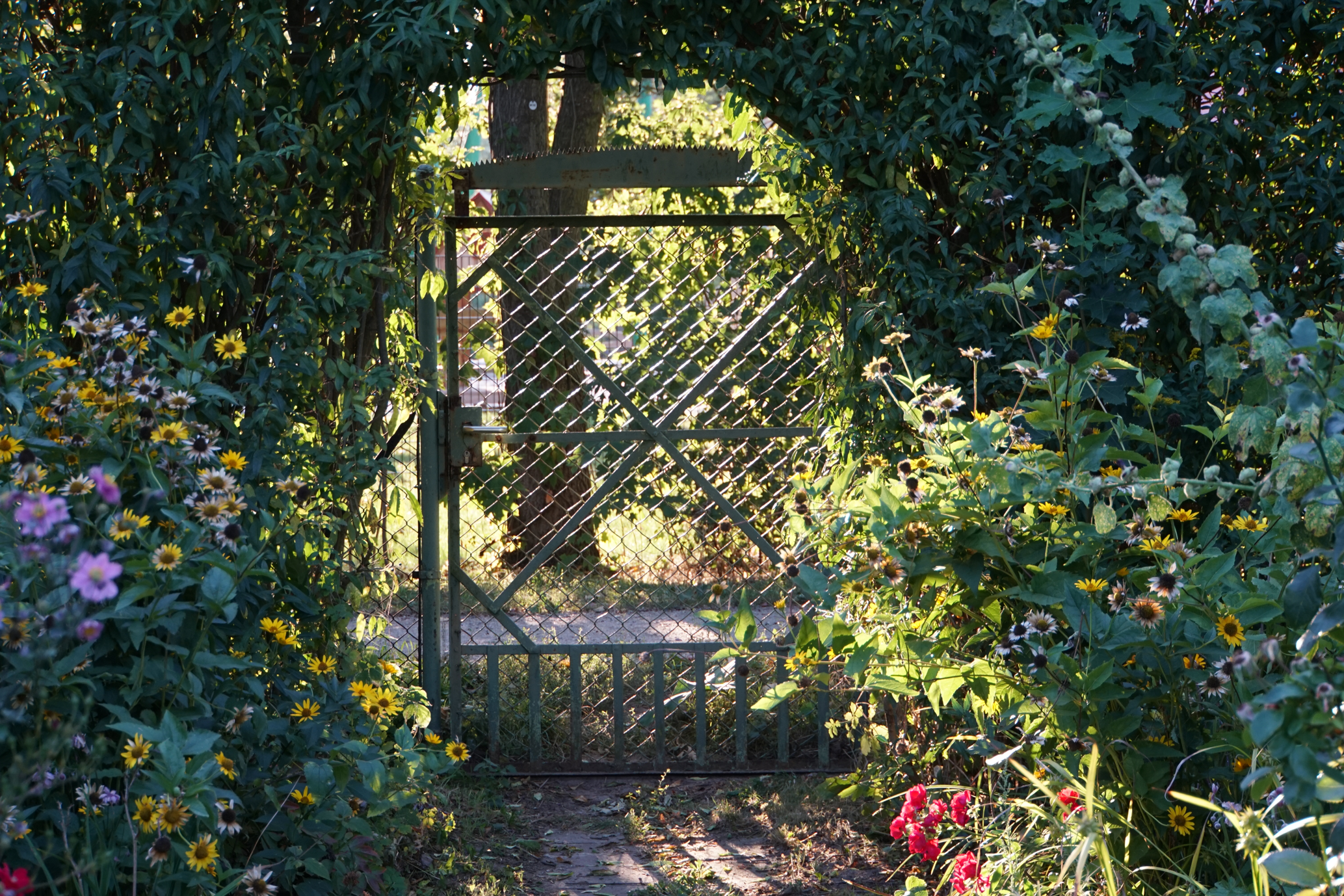 Gartentor im Sommer