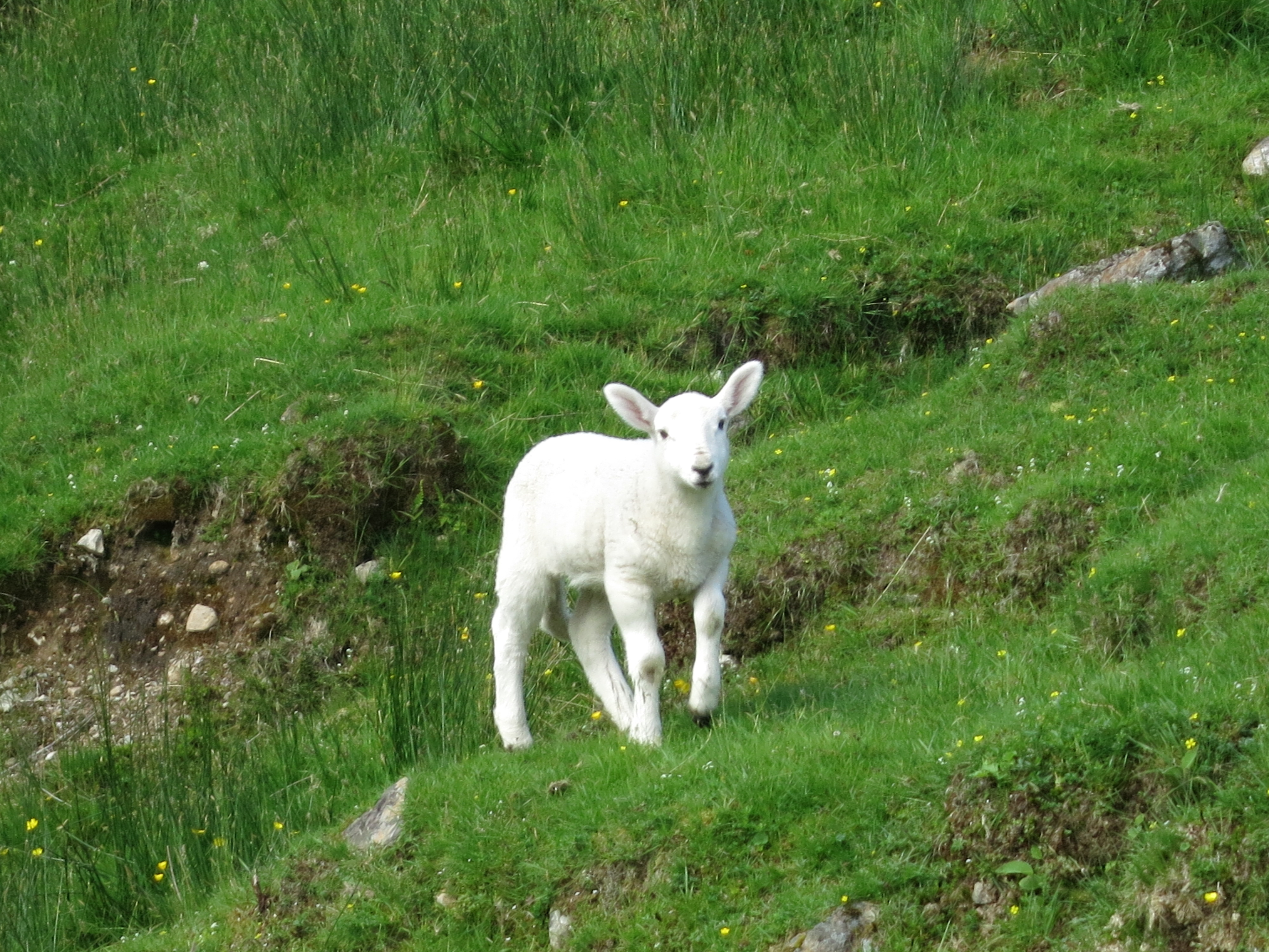Wandern am Kanal