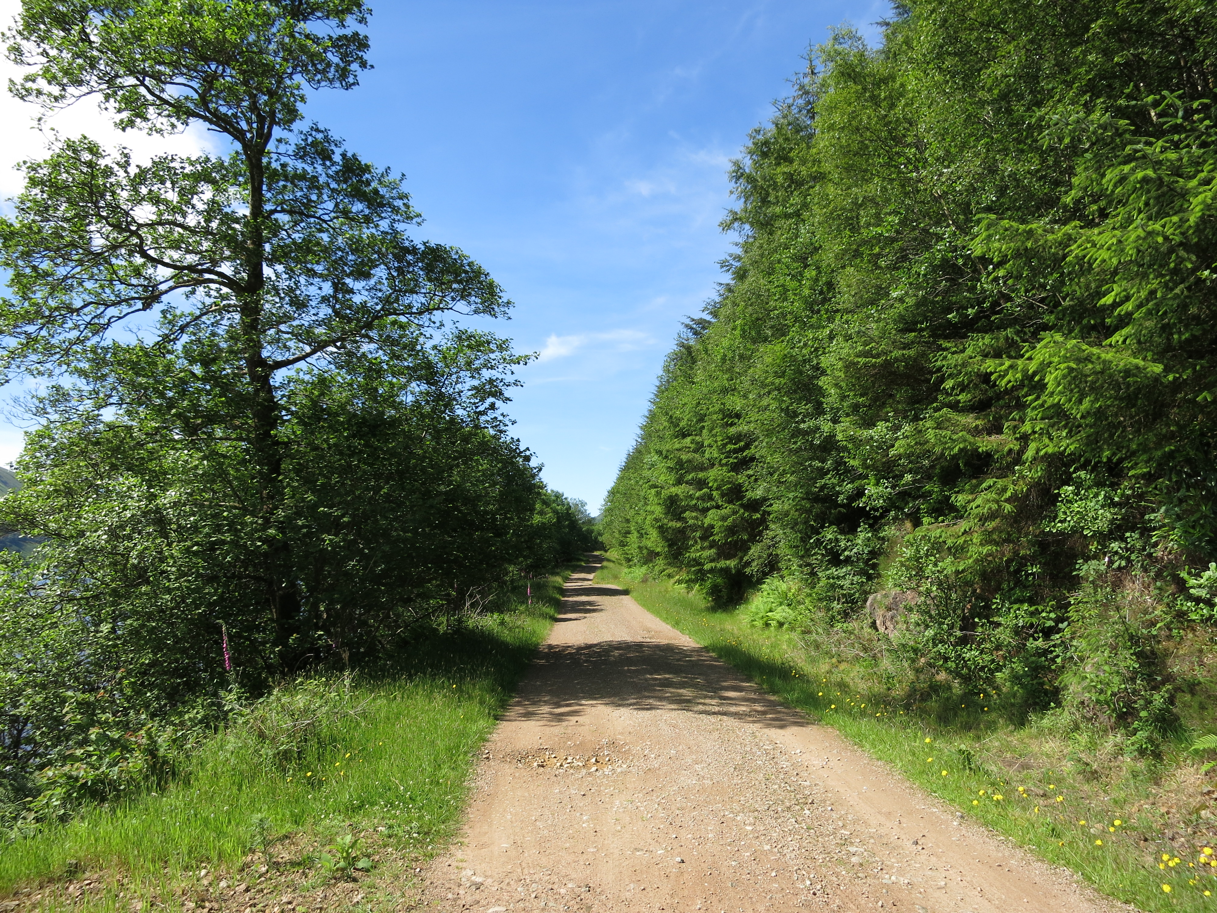 Wanderweg