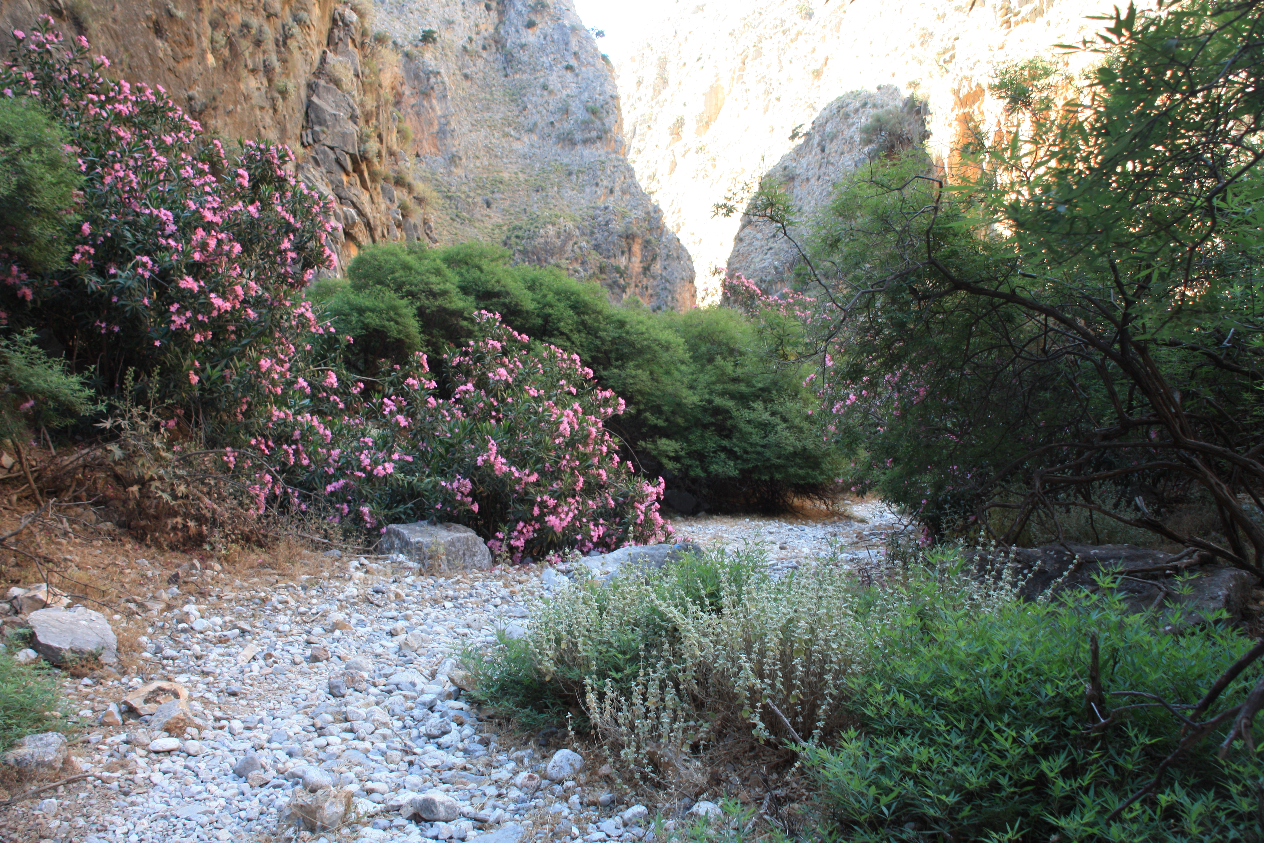 in der Aradena-Schlucht