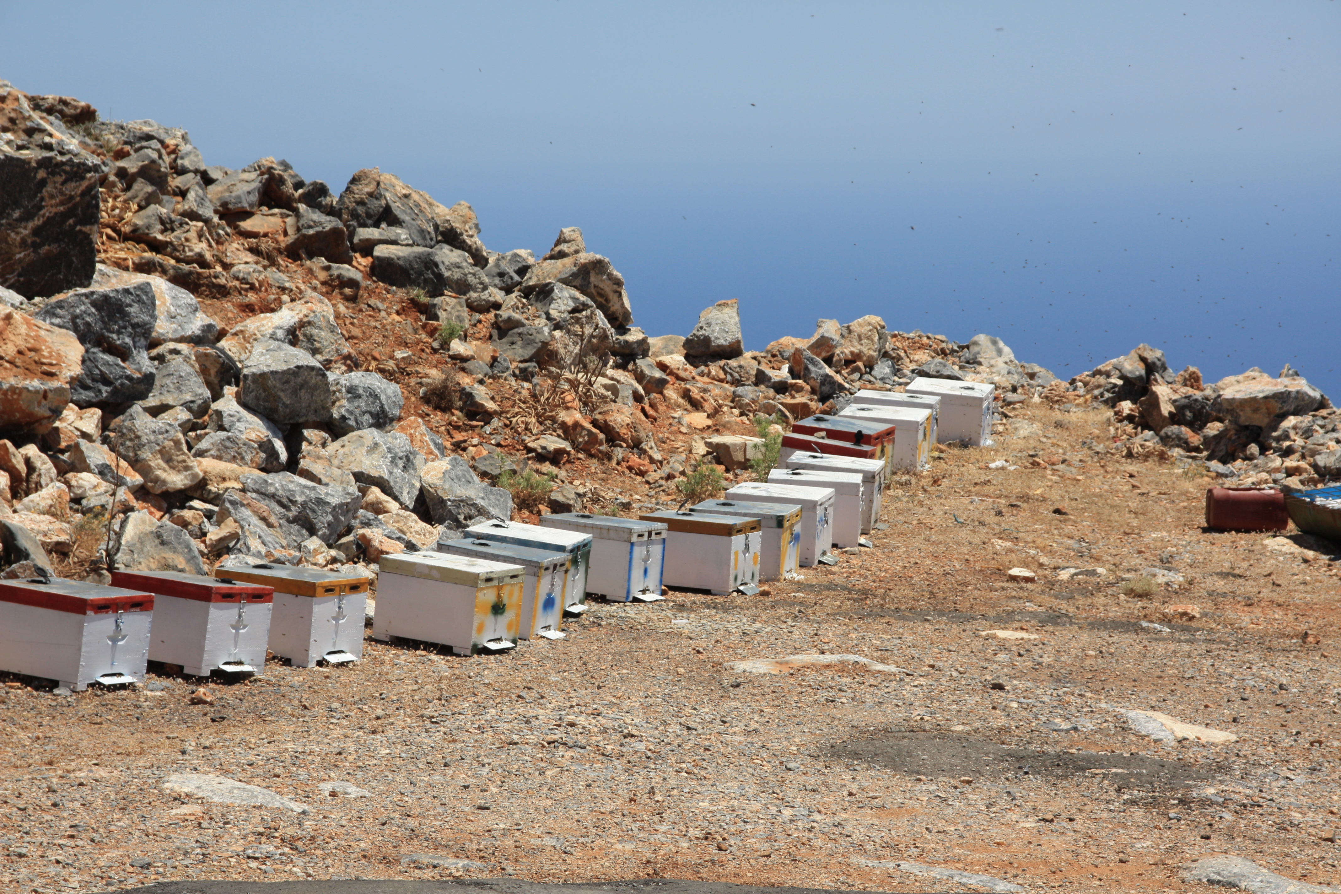 Bienenkästen bei Loutro