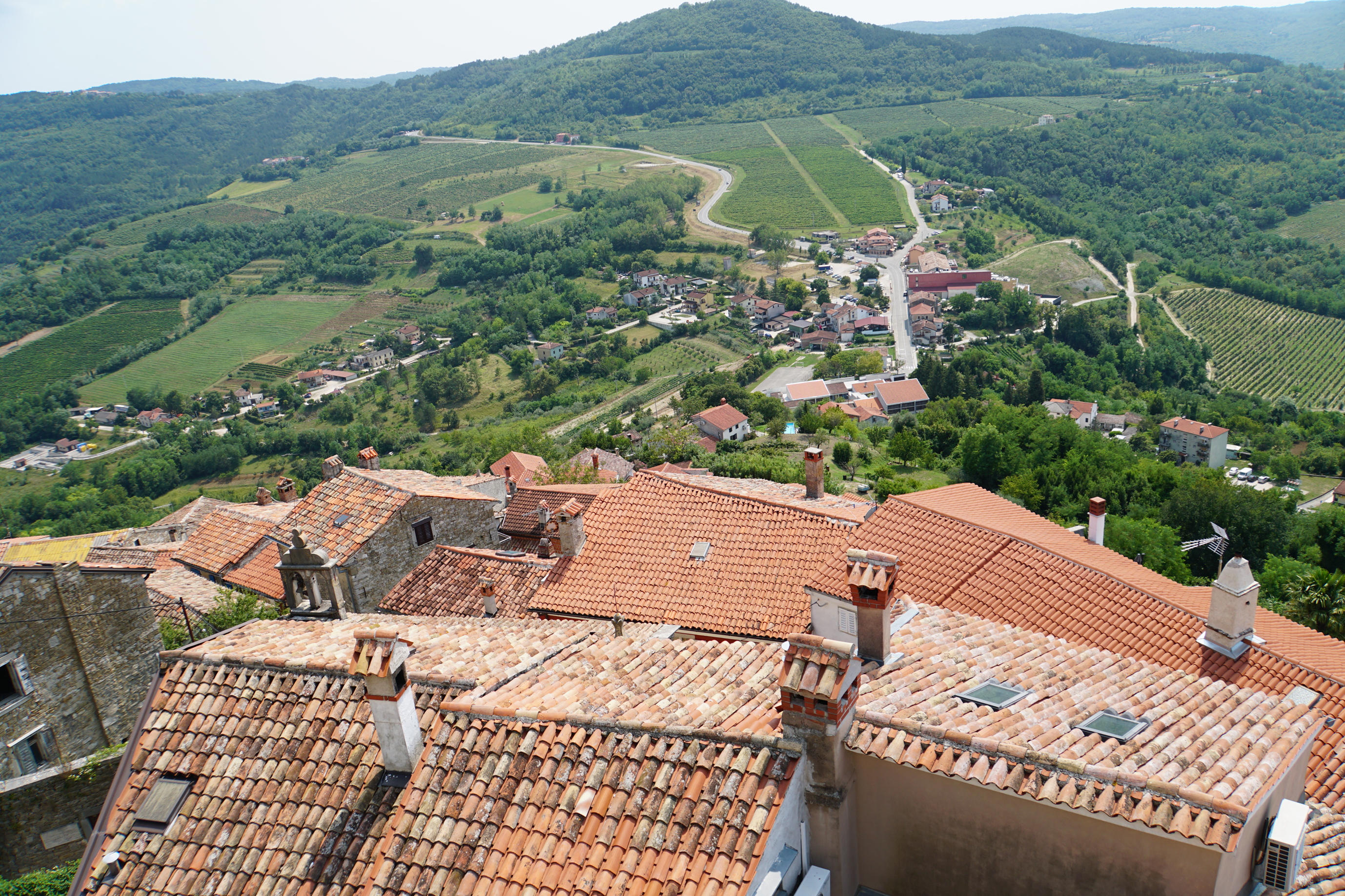 Blick von Motovun