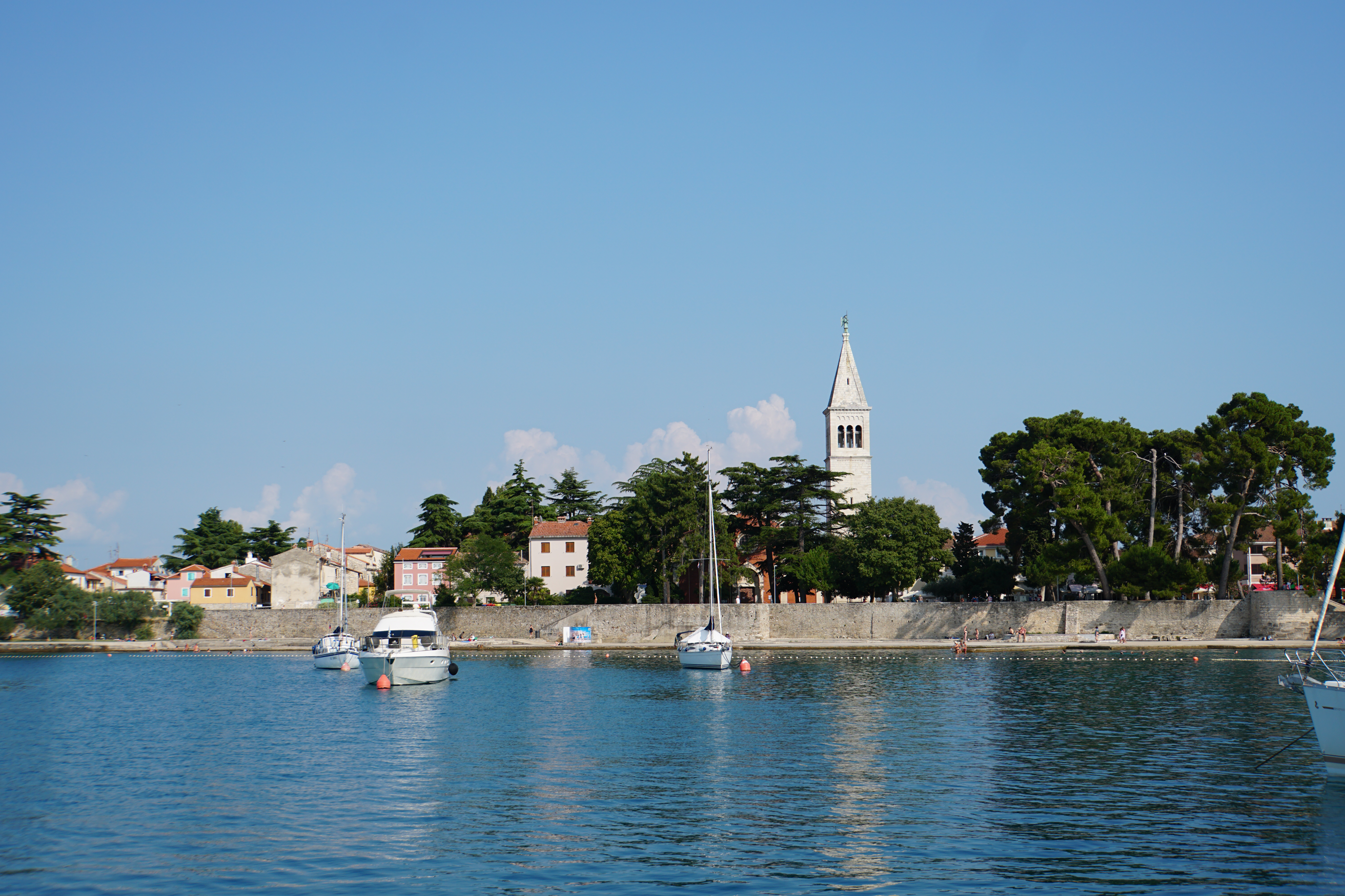 in Novigrad