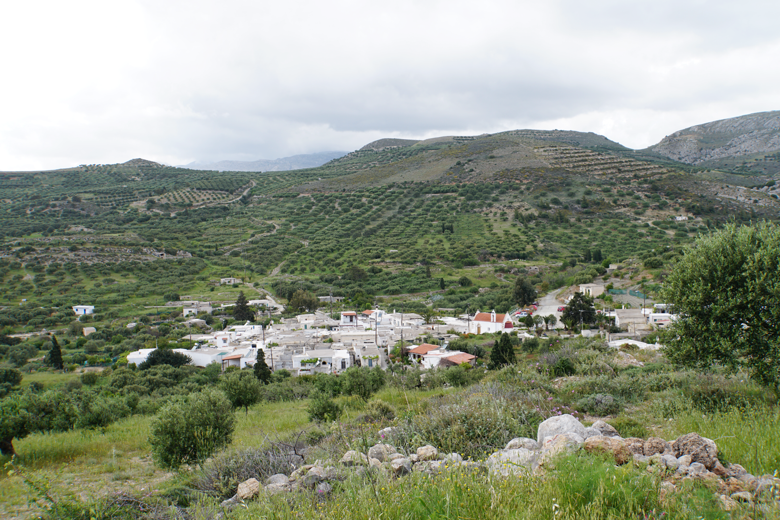 das Dorf Pezoulas