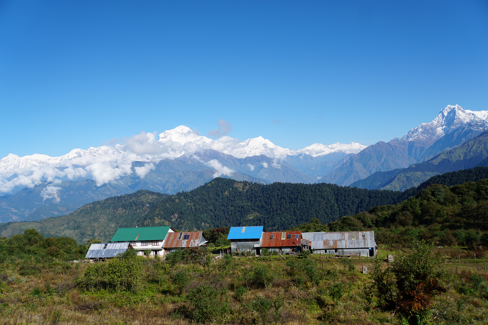 die Loge in Phulbari