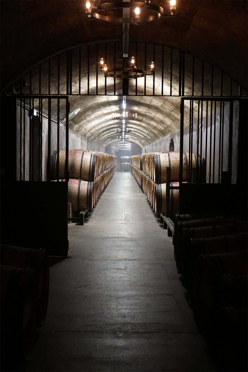 der Weinkeller im Chateau Mouton Rothschild