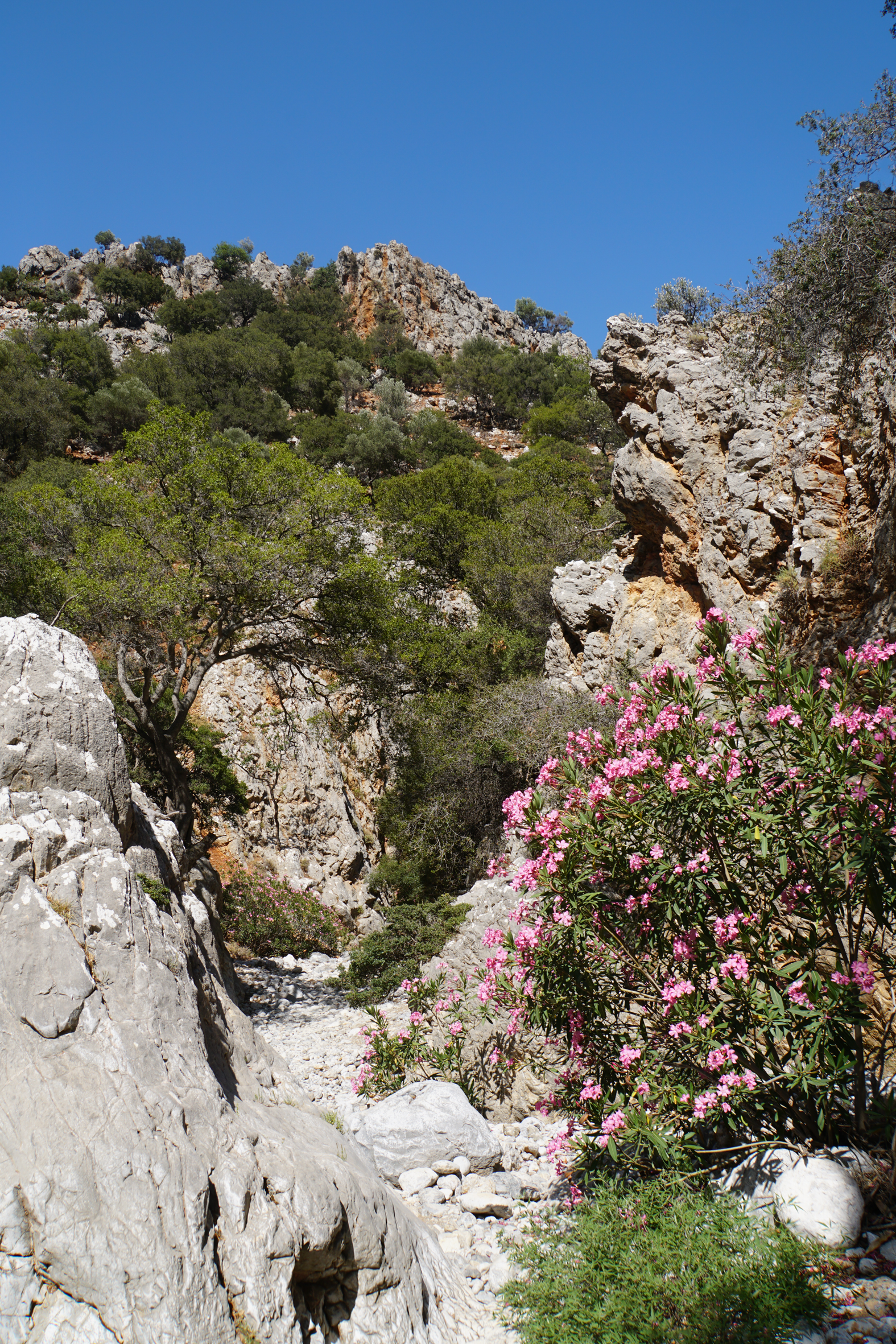 in der Schlucht bei Kritsa