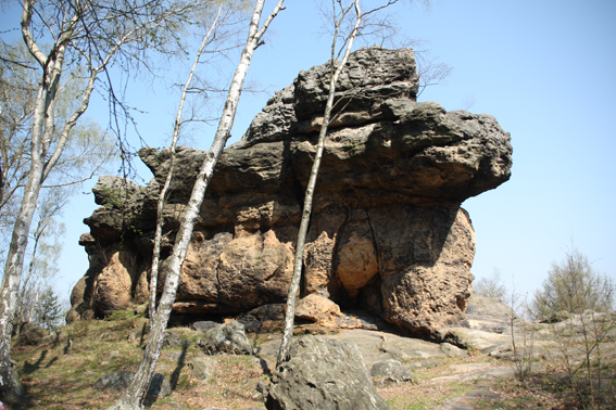 Berg