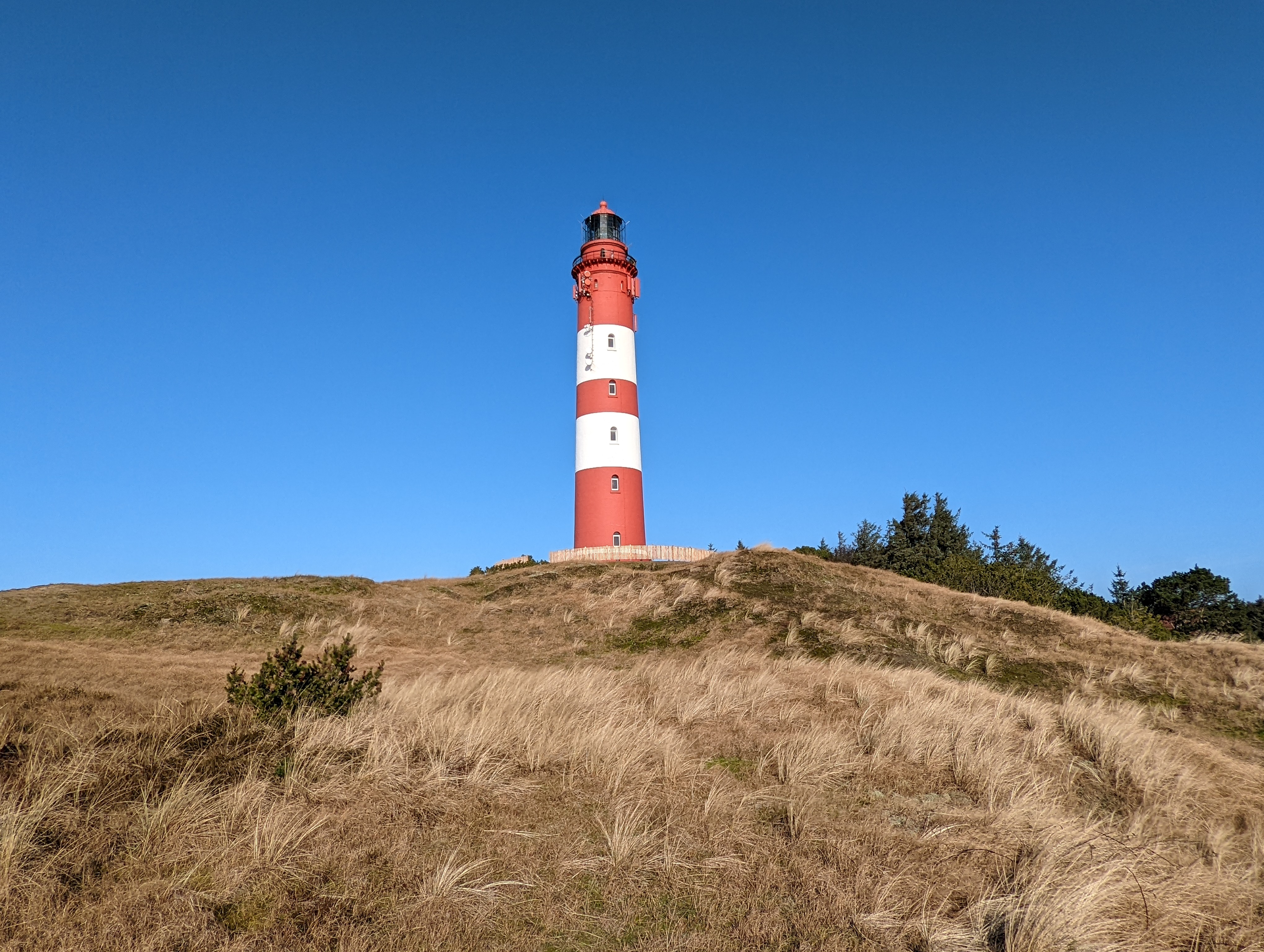 PXL_20220223_091127144