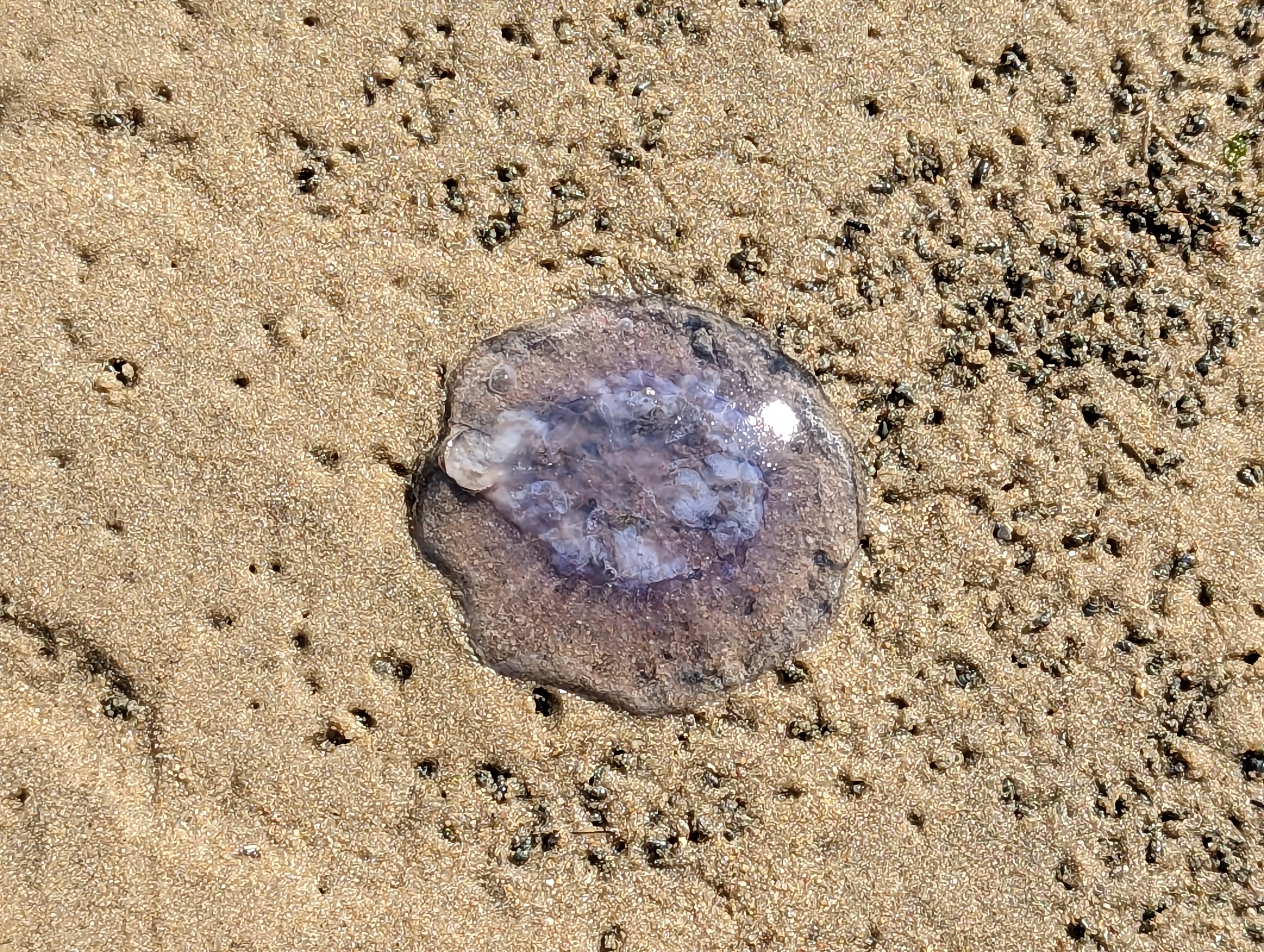 PXL_20230429_094713618
