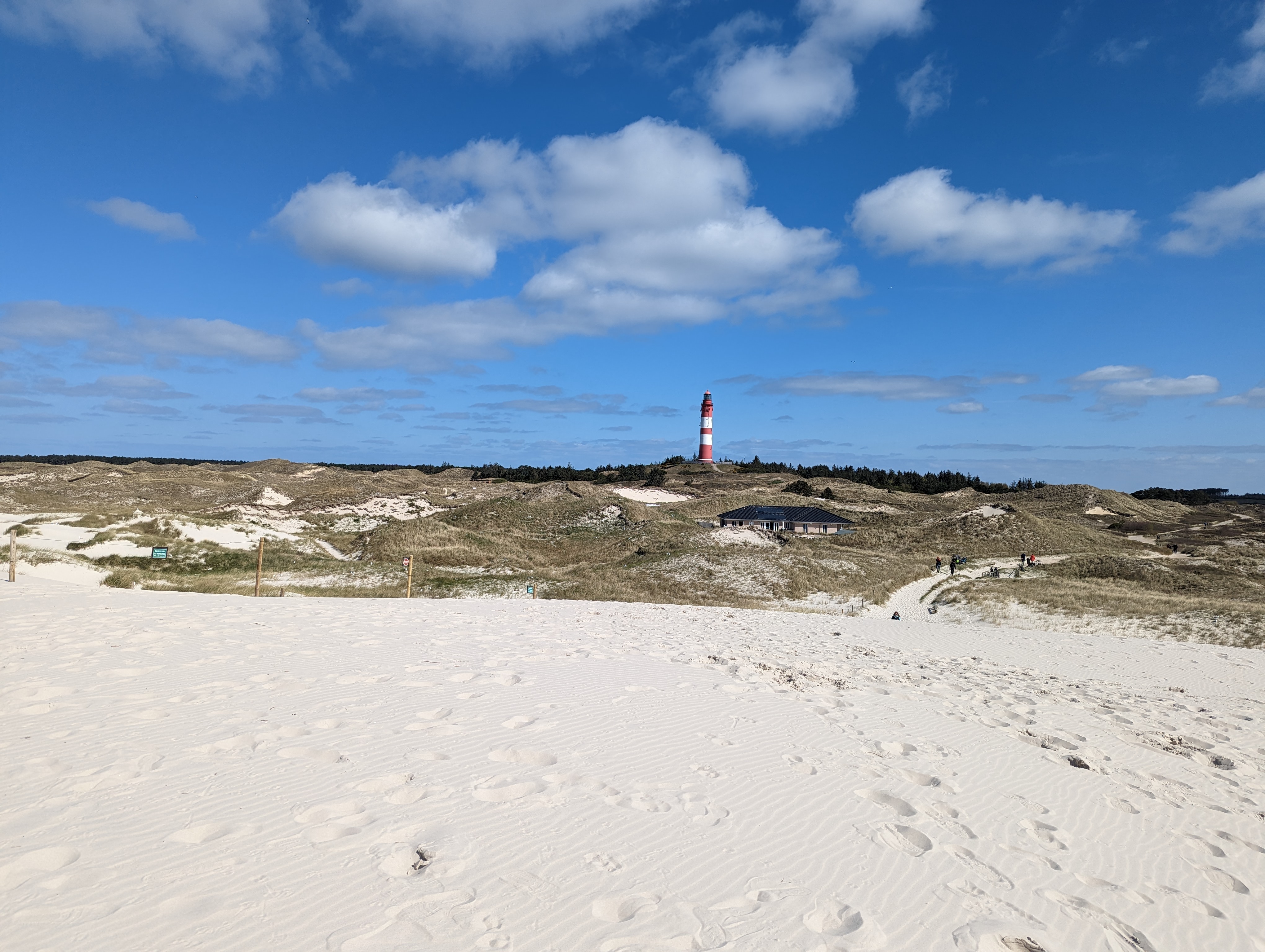 PXL_20230430_091808067