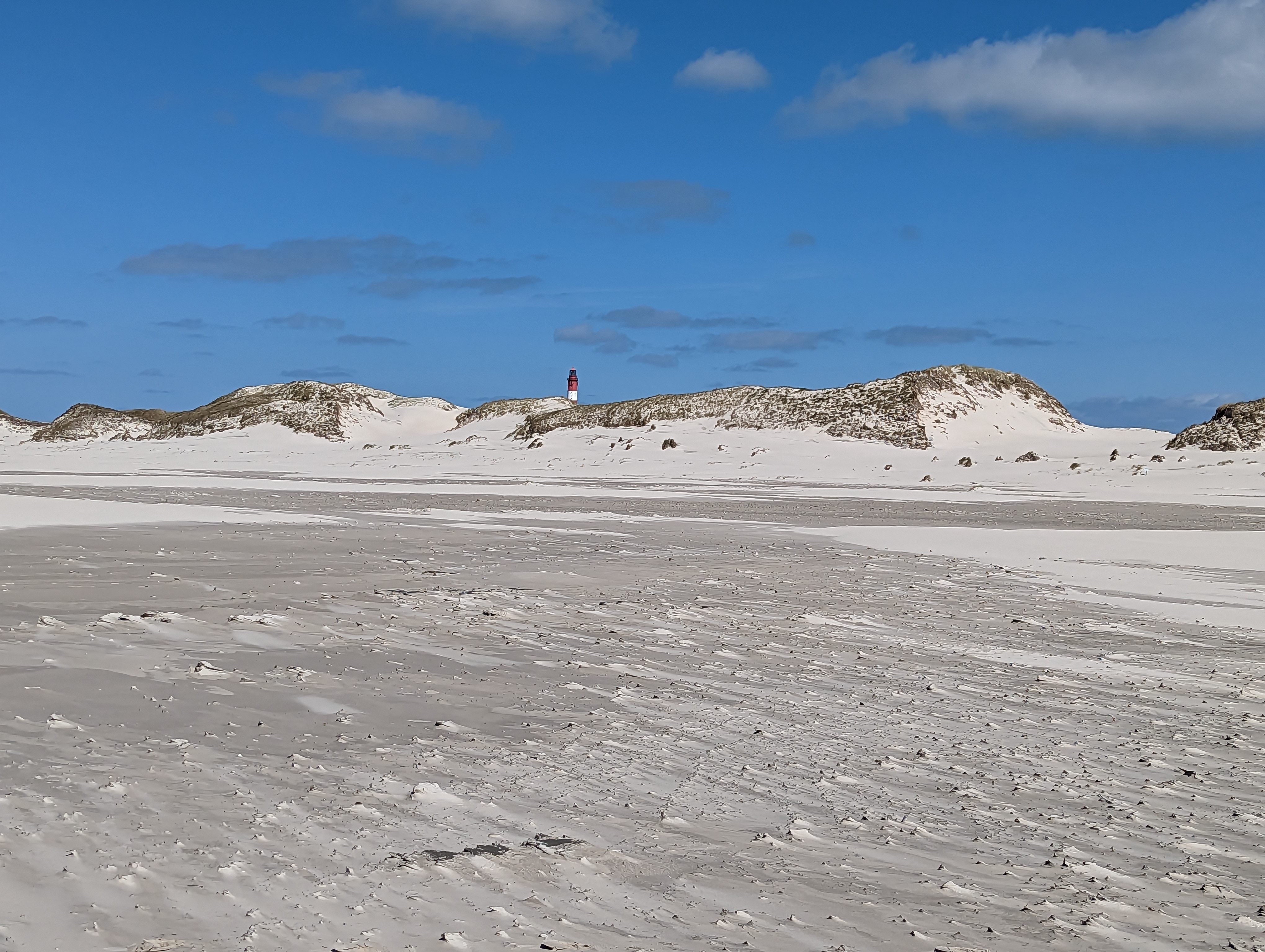 PXL_20230430_094833095
