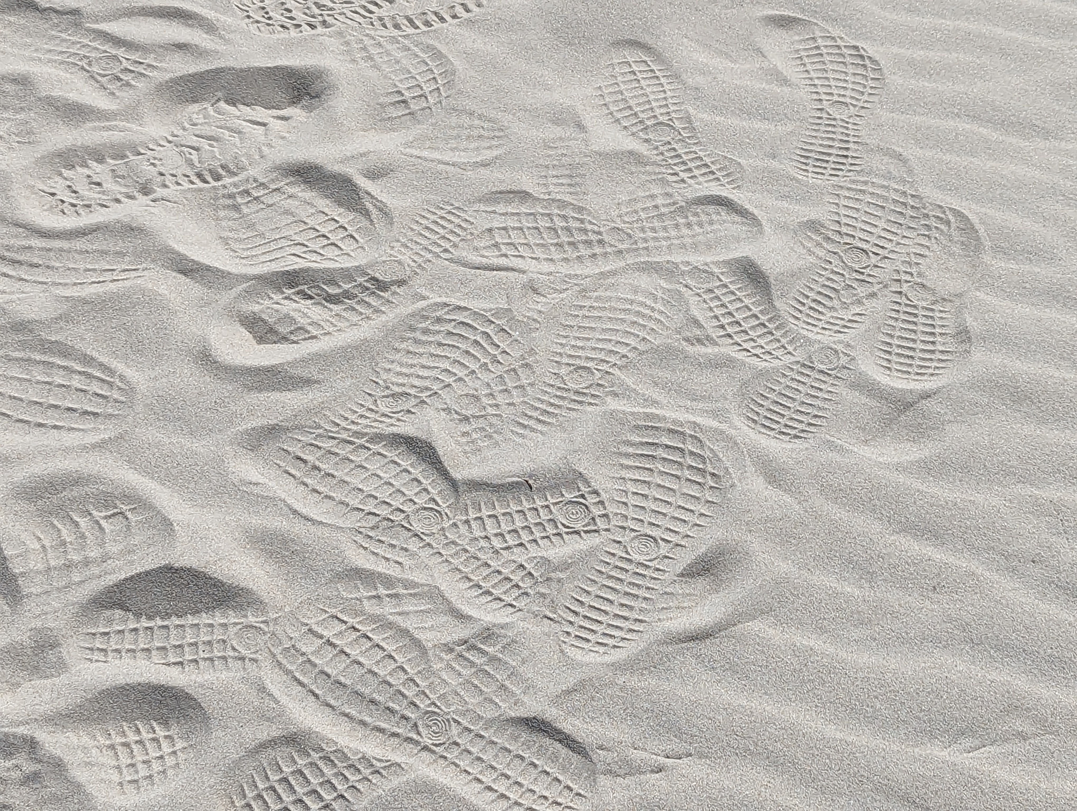PXL_20230430_100031307