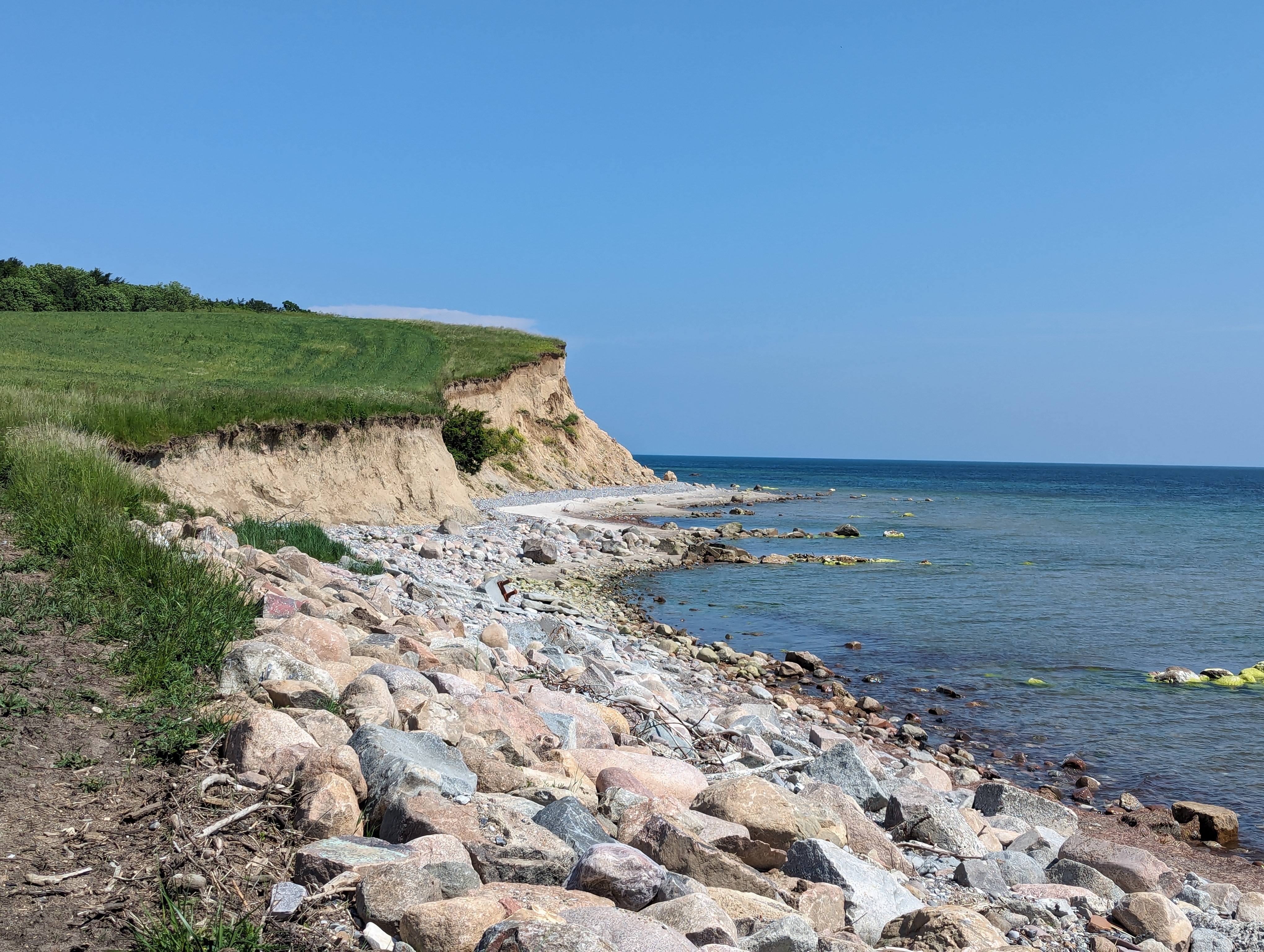PXL_20240602_112856979