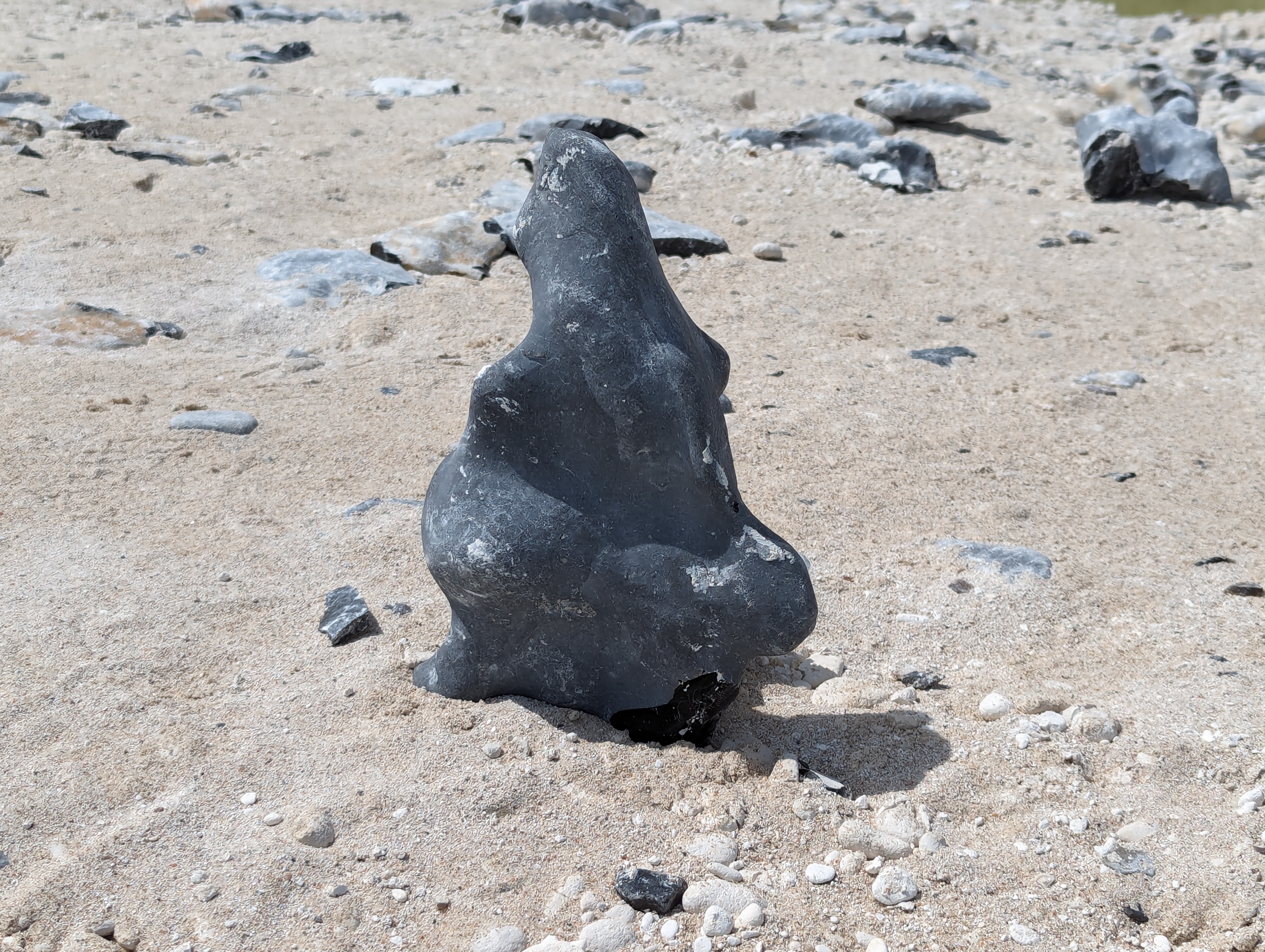 PXL_20240603_112216370
