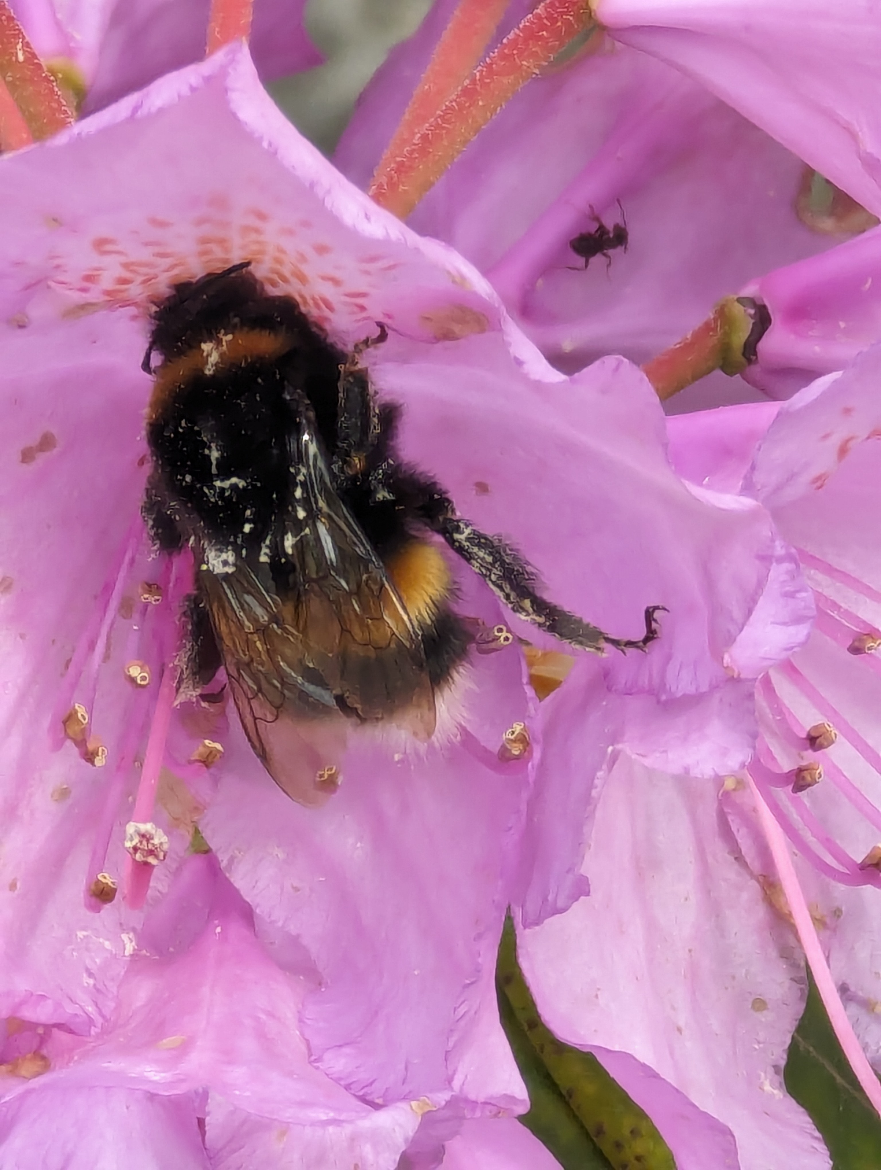 PXL_20240604_124203964