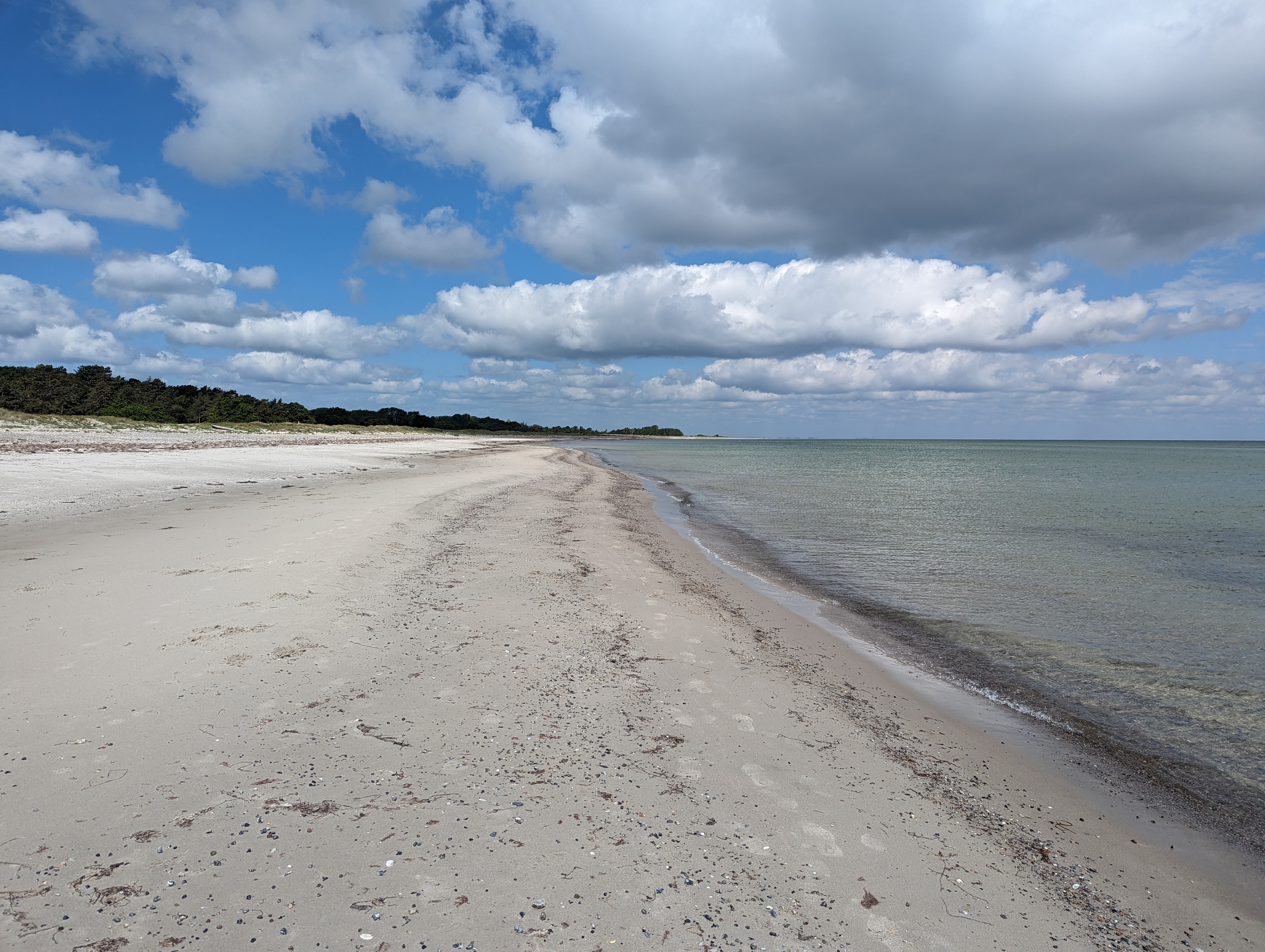 PXL_20240605_093626081