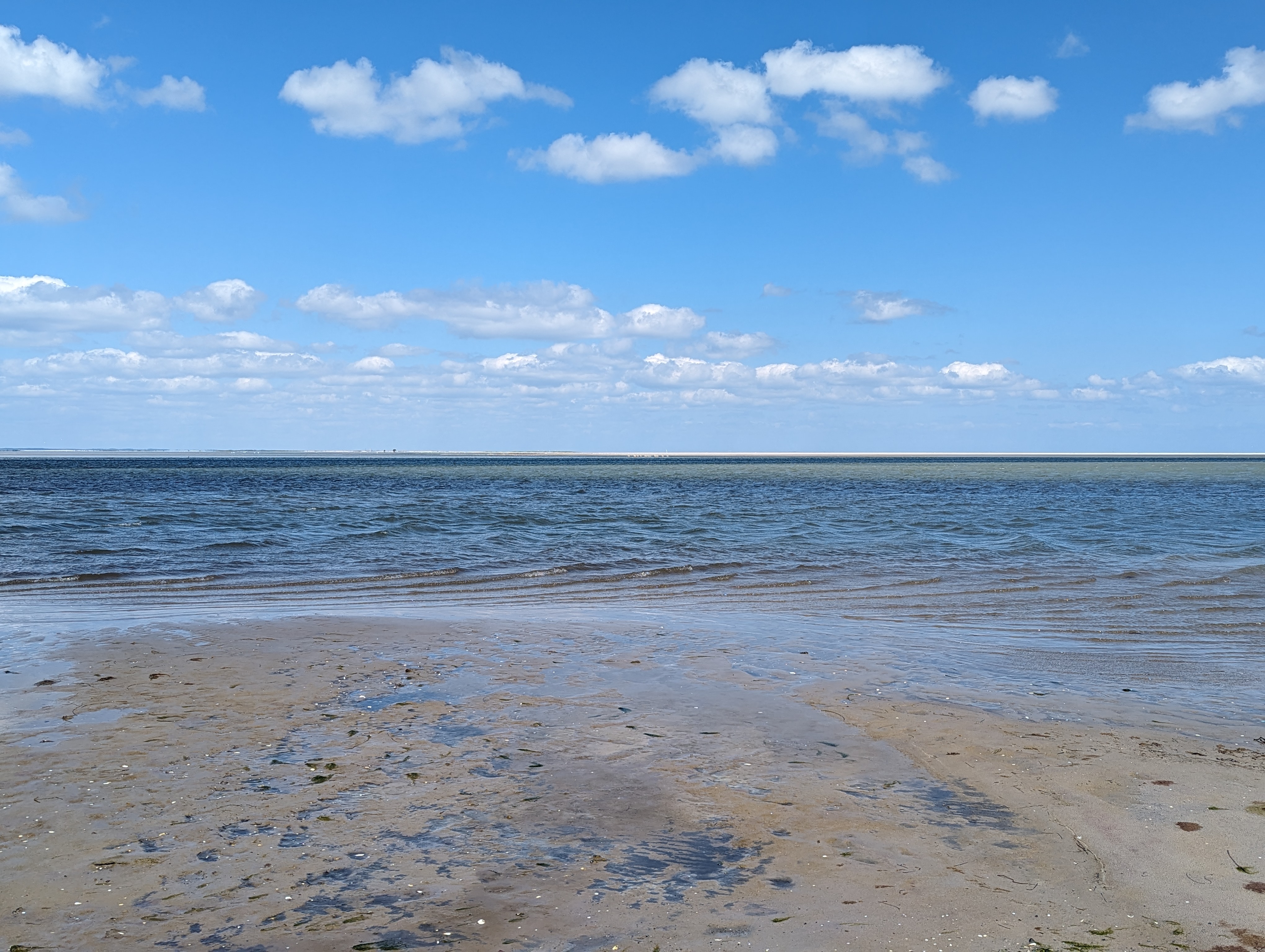 PXL_20240605_103037504