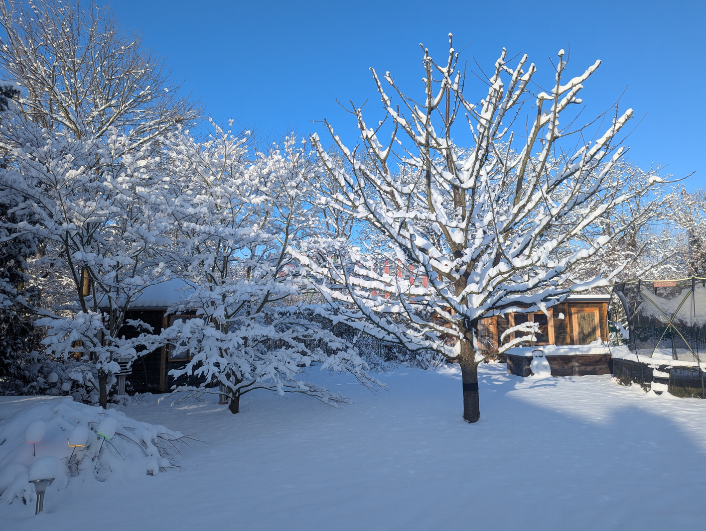 Garten im Winter