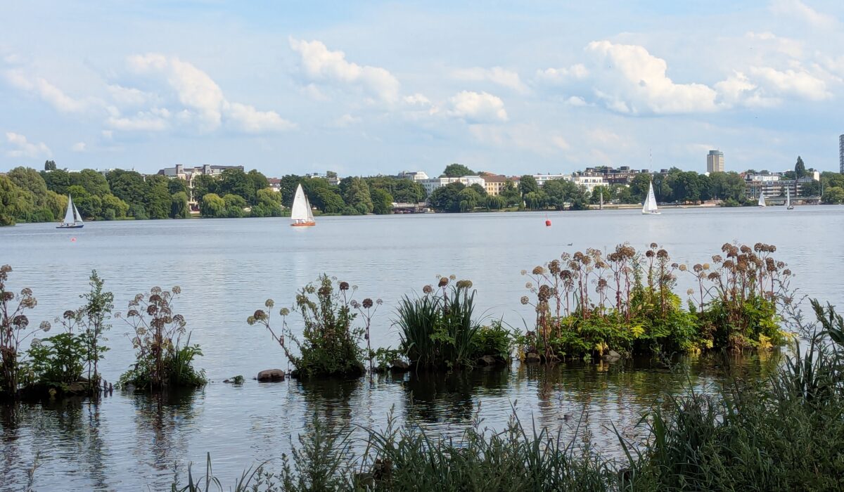 Alsterwanderung