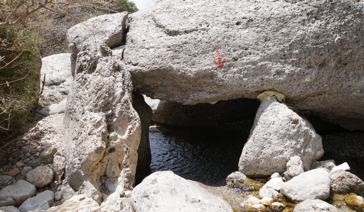 Pefki Schlucht