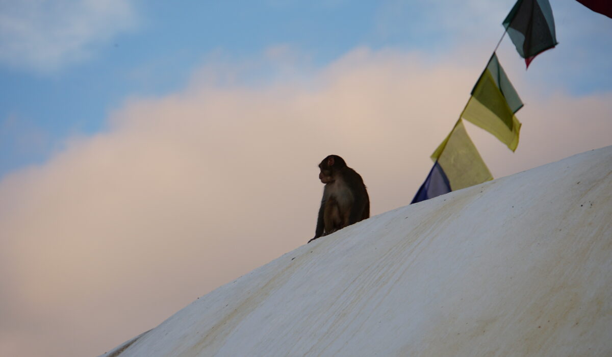 Stupa Swayambhunath