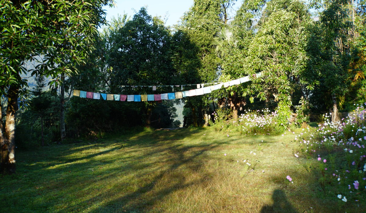 Little Paradise