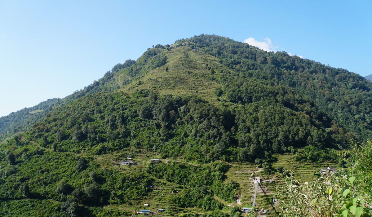 da oben war Little Paradise