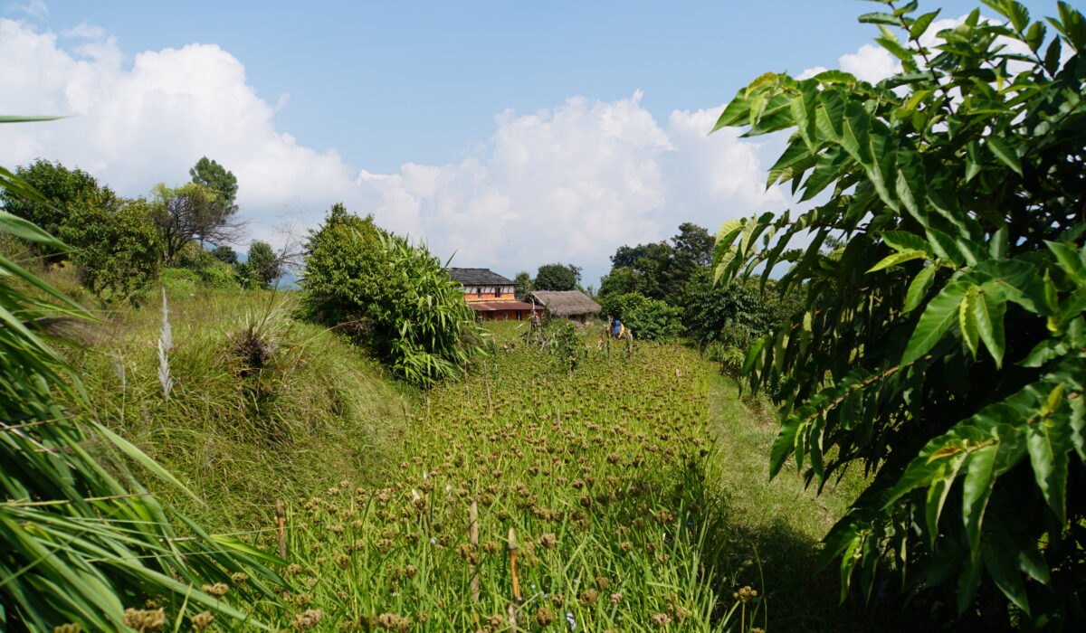 nach Astam