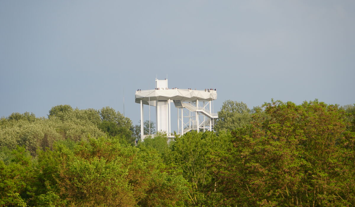 der Wolkenhain
