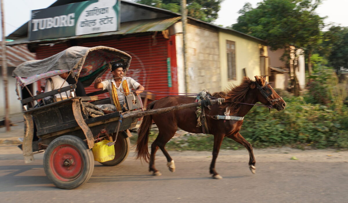 Spaziergang durch Sauraha