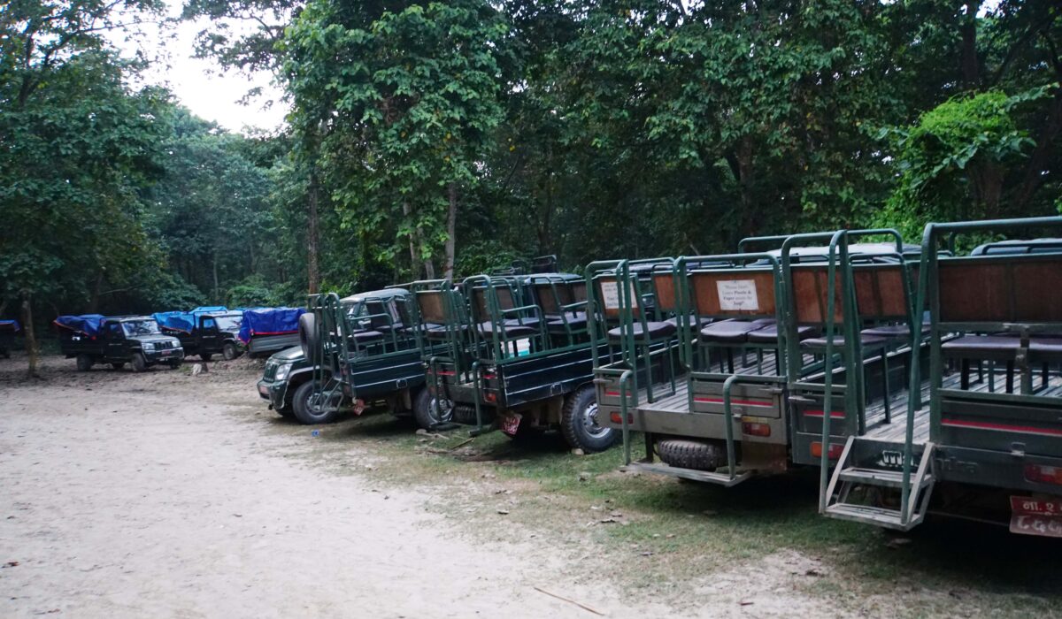 die Jeeps für die Safari