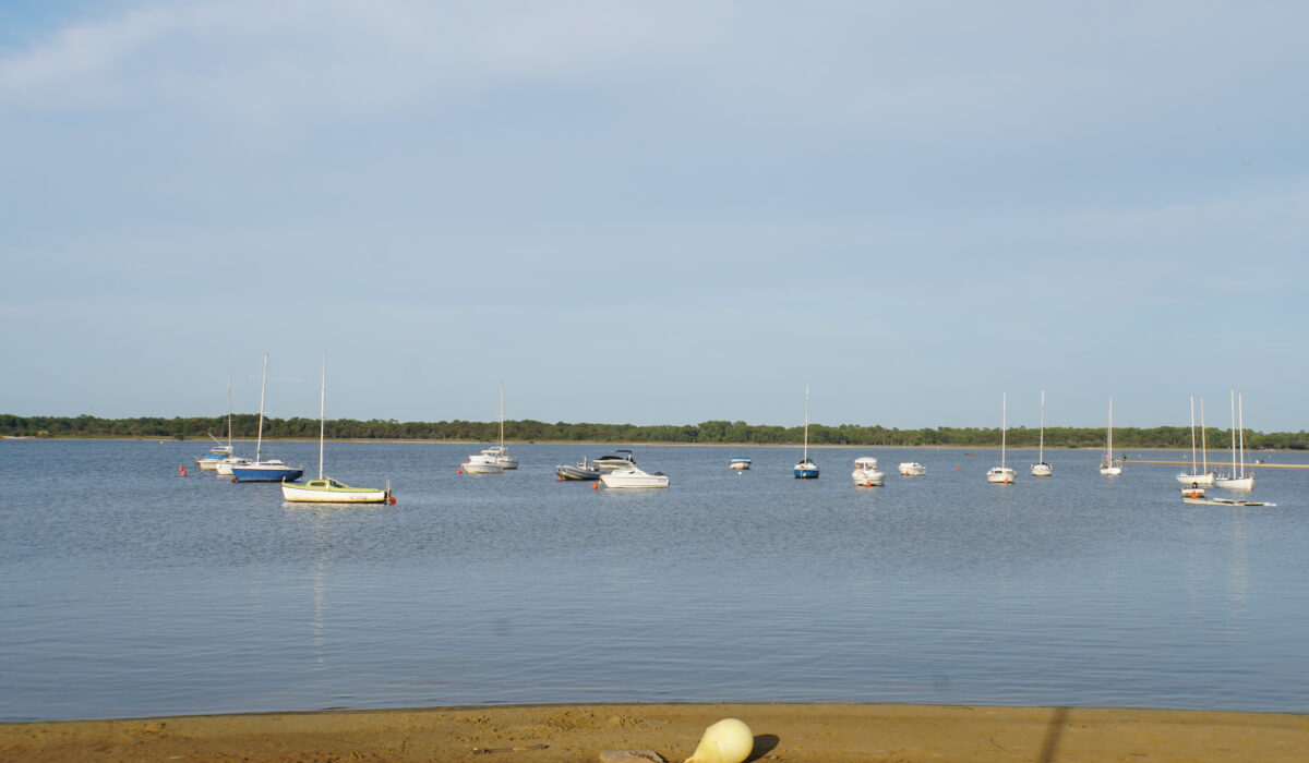 DSC05423
