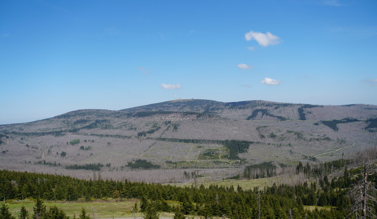 Blick auf den Brocken - sieht traurig aus