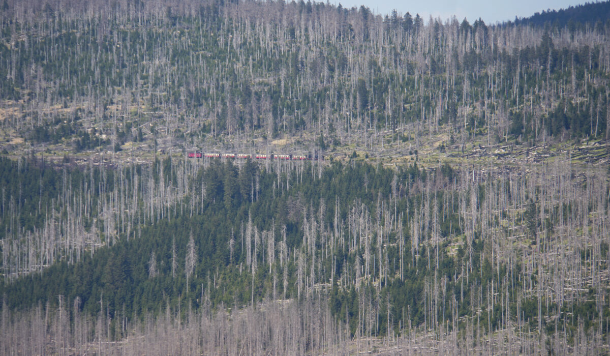 die Brockenbahn